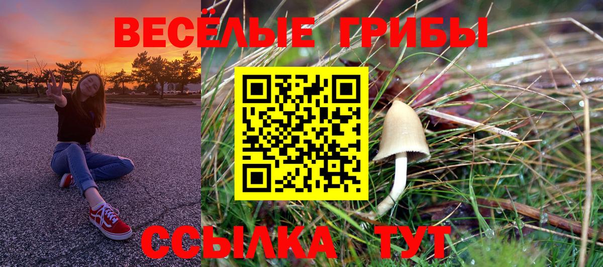 Псилоцибиновые грибы MAGIC MUSHROOMS Домодедово